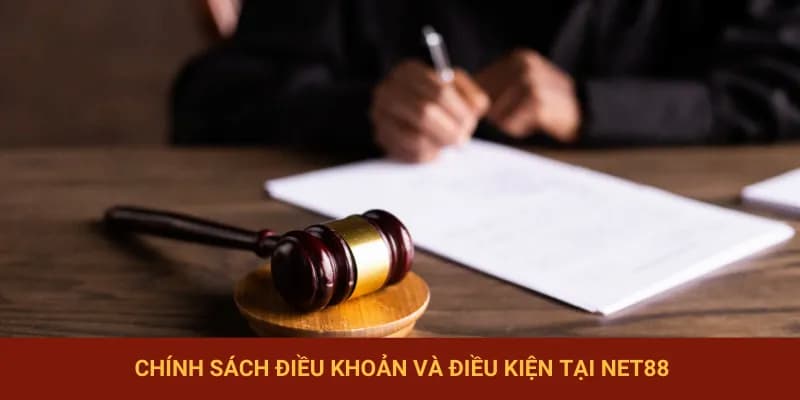 Các hạng mục quan trọng trong điều khoản điều kiện Net88