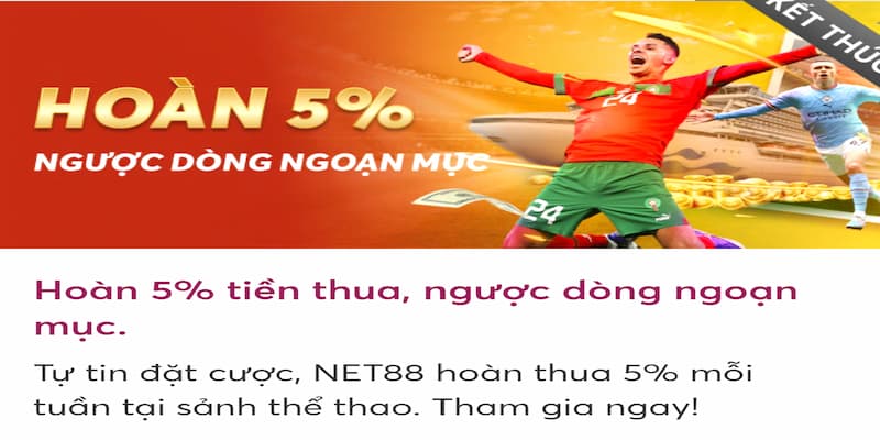 Hoàn 5% tiền thua Net88 là gì